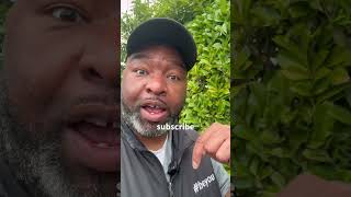 Subscribe and Like (it’s yo boi) 