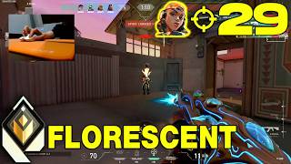 florescent Raze Sunset RADIANT ACE
