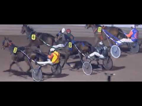 Prijs der Giganten 2013_Your Love Lois_Rick Ebbinge