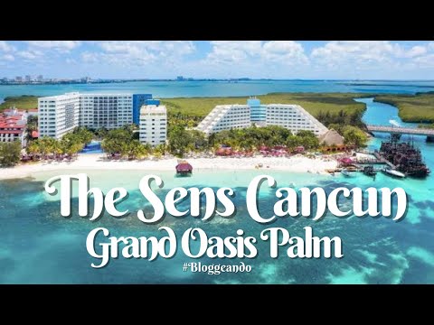 Videos del The Sens Cancun By Oasis 5★ en Cancún, MéxicoVer MásVerPrecios13CerrarConsulta por Whatsapp 🇦🇷BookingTripadvisorExpediaAgodaTripSkyscannerDespegarKayakHotelesDestiniaTrivagoLastminuteTui