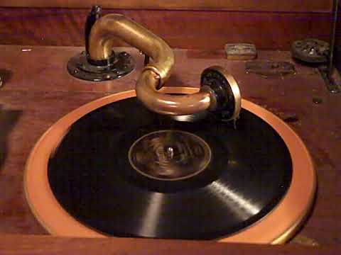 HARRY RESER'S SYNCOPATORS TOM STACKS - SUSIE'S 'FELLER' - ROARING 20'S VICTROLA 8-30