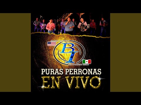 La Linea Directa (En Vivo)