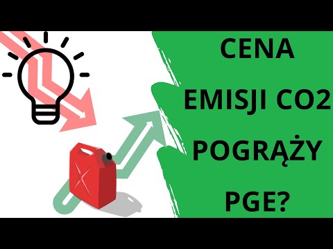 PKN Orlen, czy będąc spółką państwową, ma mocne przewagi? - Asseco PL, Budimex, Apator, Lena