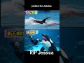 Jessica Vs Dolphin Viral Video Tranding Viralvideo Shortvideo Scary