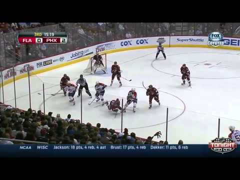 Florida Panthers at Phoenix Coyotes   03\20\2014