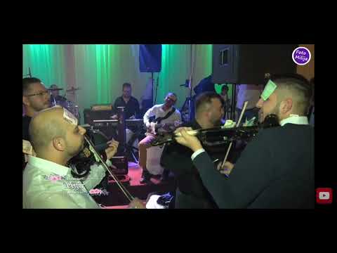 Joca King VS Dalibor Pariz KAKAV BUUM 💣