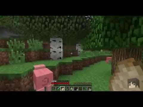 Pak Plays 05/18/2015 - CobbleHATER