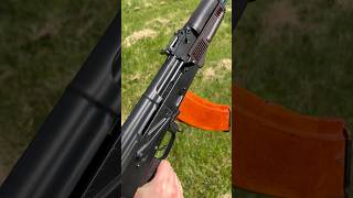 AK-74 With 1P29 Optic