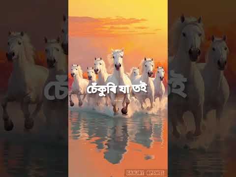 O Mur Ranor Teji Ghura // Zubeen Garg by new assamese whatsapp status video🐎 #justiceforzubeengarg
