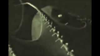 NEUN ARME (NINE ARMS) - EINSTÜRZENDE NEUBAUTEN (LYRICS+HQ)