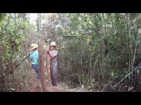 Construção de Cercas