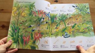1001 BUGS TO SPOT