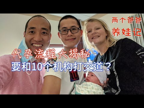 代孕流程大揭秘，真的要和10個不同的機構實體打交道？
