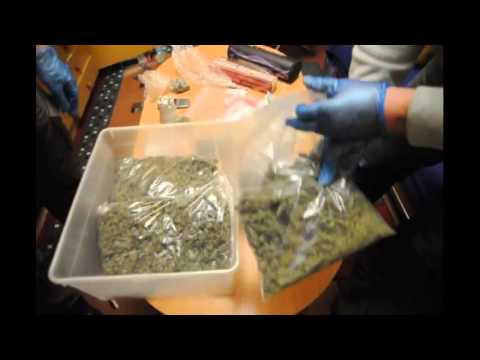 Zatrzymani za uprawę i posiadanie