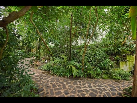 Prohlídka tropického skleníku - 2.díl