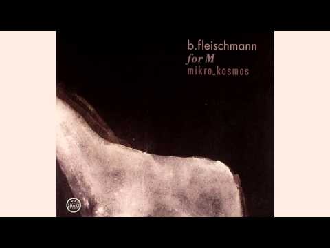 B.Fleischmann - Mikro_Kosmos