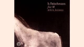 B.Fleischmann - Mikro_Kosmos
