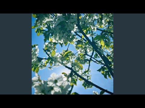 Ethereal (Live Strings Version)