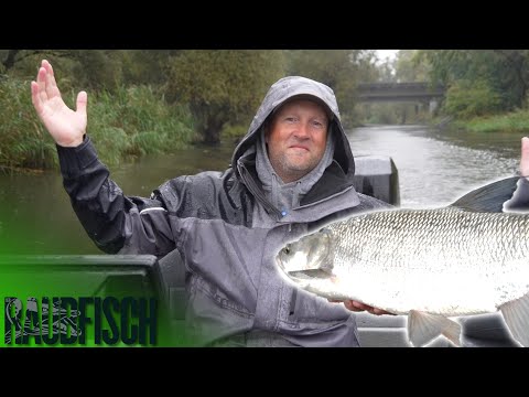 MEGA surprise while spin fishing on the Havel!