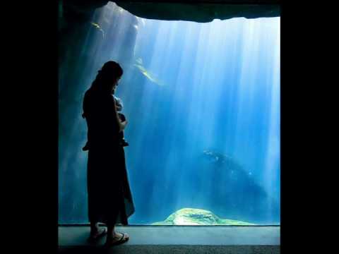 Ivan Nikusev & Wav-E - Strings Of Life (CJ Art Pres. Sagittarius A Remix)