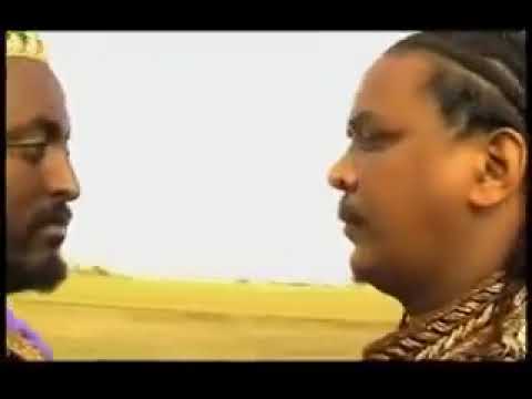 Tesfaye taye . kal        I love you zemed❤️