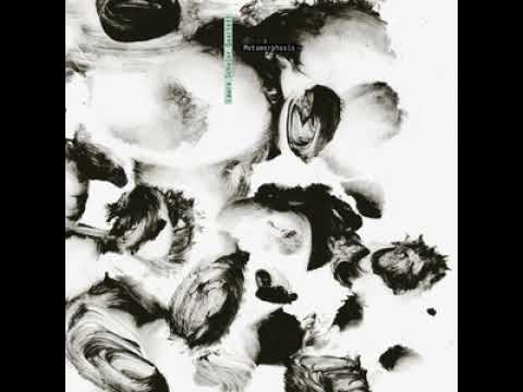 Laura Schuler - Laura Schuler Quartett: Metamorphosis (Full Album)