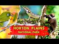 Horton Plains National Park Sri Lanka