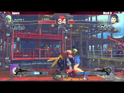 AE2012 Spore vs Mark R. - NYU Spring Fighter 2012 Tournament
