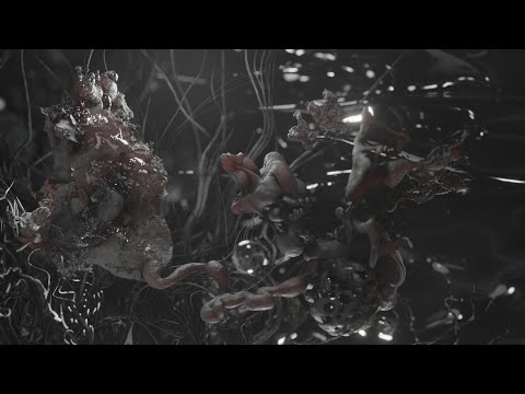 Ark Noir - See You On the Other Side (Official Video)