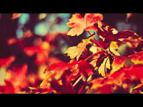 Vicious Cycle: Aka the Struggle (feat. YZ & Emskee)