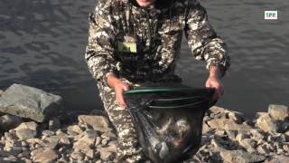 Рыбалка на сорочинского водохранилища