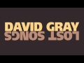 David Gray - Flame Turns Blue (Official Audio)