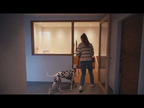 Boutique Hundehotel Bergzeit, video tour