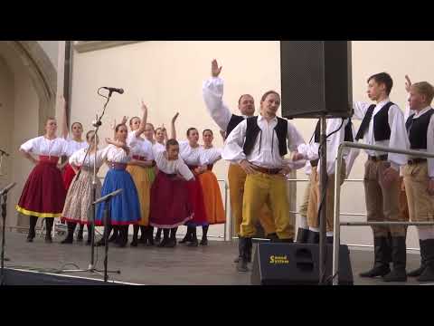 Pořad: ROZMLOUVÁNÍ, č.11/12 - Gaudeamus VŠE Praha / FF Pardubice 2023