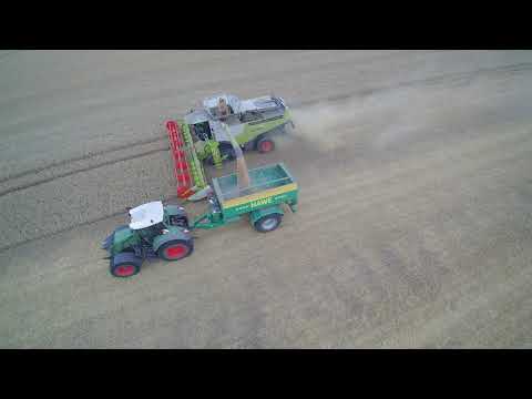 Claas Lexion 770 bei der Weizen Ernte #Ernte #Landwirtschaft #Claas
