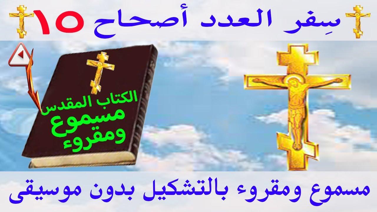 فيديو تفسير الكتاب المقدس | الكتاب المقدس رفيقي
