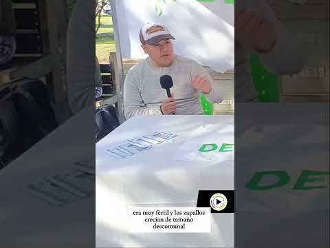 Porque General J.San Martín (Chaco) Se llamaba "El Zapallar"