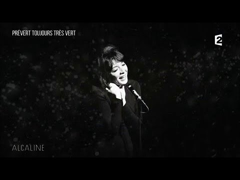 Alcaline, Les News du 4/12 - Prévert toujours très vert