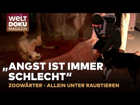 NACHTWÄCHTER IM ZOO Gelsenkirchen: Allein unter Raubtieren | WELT Doku Magazin