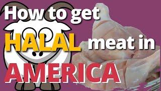 Halal Meat in USA? | Desi Brooklyn Life