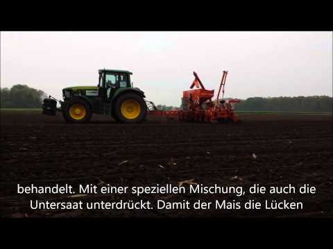 So werden Dumka-HS-Mais und Proterra-Rohrschwingel-Untersaat gesät