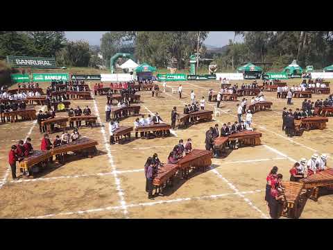 parte de la historia en el ensamble de marimbas más grande del  mundo récord guinness