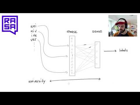 Vincent Warmerdam- What Lies in Word Embeddings | PyData Global 2020