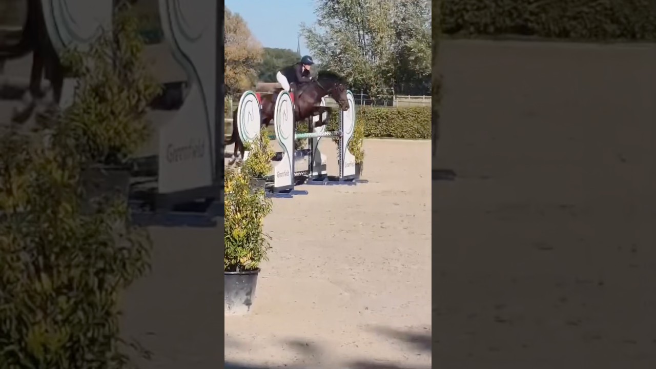 Trust me Van Den Heuvel video 2