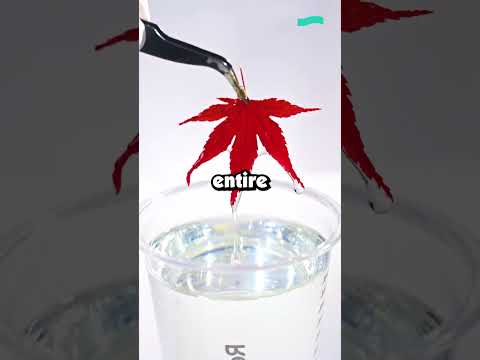 What radio blunder still makes your squad laugh?