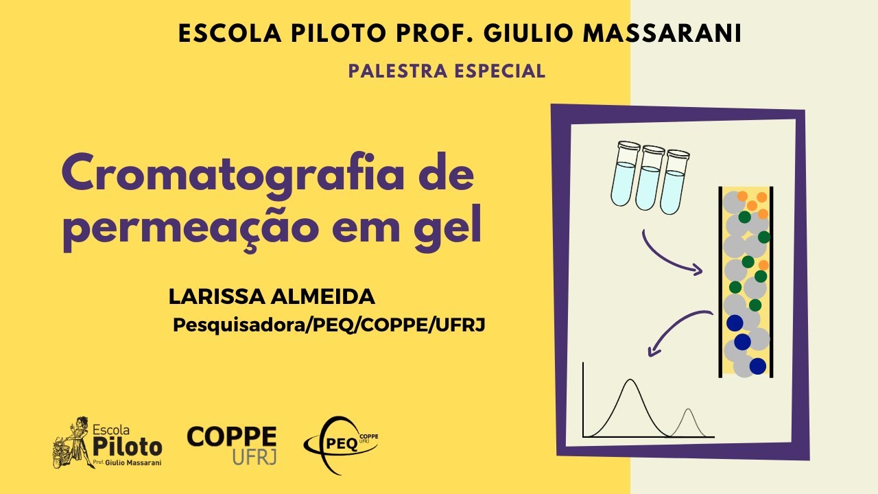 Cromatografia de permeação em gel