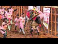 Avaniyapuram Jallikattu 2025 Best Bulls Videos Avaniyapuram Jallikattu 2025 Best Bulls Videos