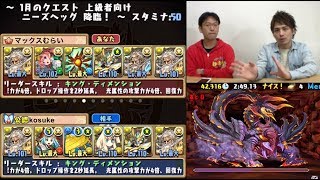 パズドラ ニーズヘッグ降臨 壊滅級 ソロ周回 ゼウスgigaパーティ تنزيل الموسيقى Mp3 مجانا