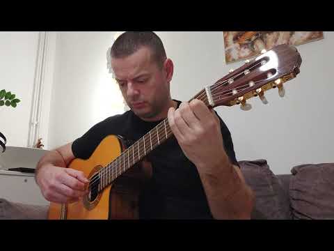 Uspavanka za Radmilu M. (Bijelo Dugme) cover by Leo