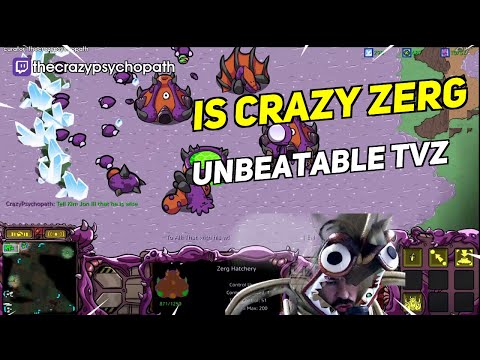IS CRAZY ZERG UNBEATABLE TVZ | Daily Brood War Moments